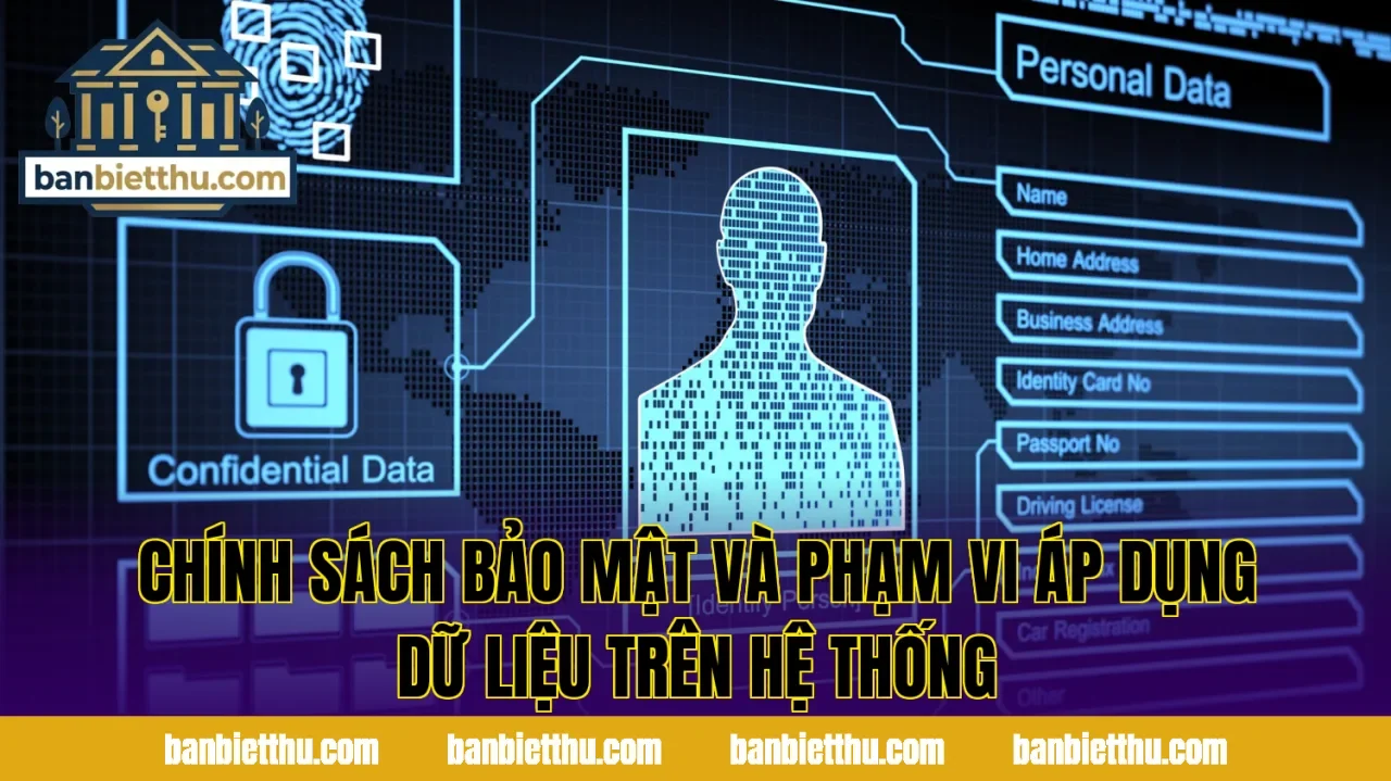 Chính sách bảo mật và phạm vi áp dụng dữ liệu trên hệ thống