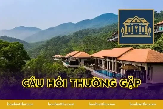 Câu hỏi thường gặp